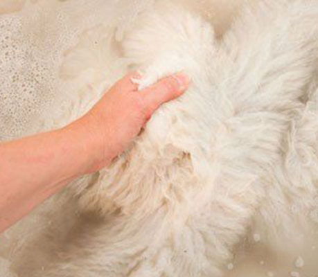 hand washing sheepskin