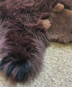 Grizzly Bear Sheepskin Rug Face and Claw